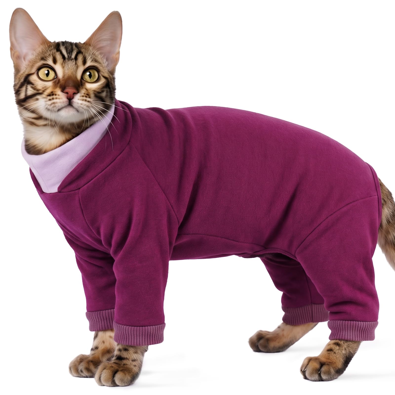 Cat Onesie Post Surgery Legs | Open-Belly Cat Body Suit for Overgrooming & Skin Allergies | Easy Toilet Access | Soft Fleece Anti-Licking Suit for Shaved Cats (Berry Purple M) โ image 1