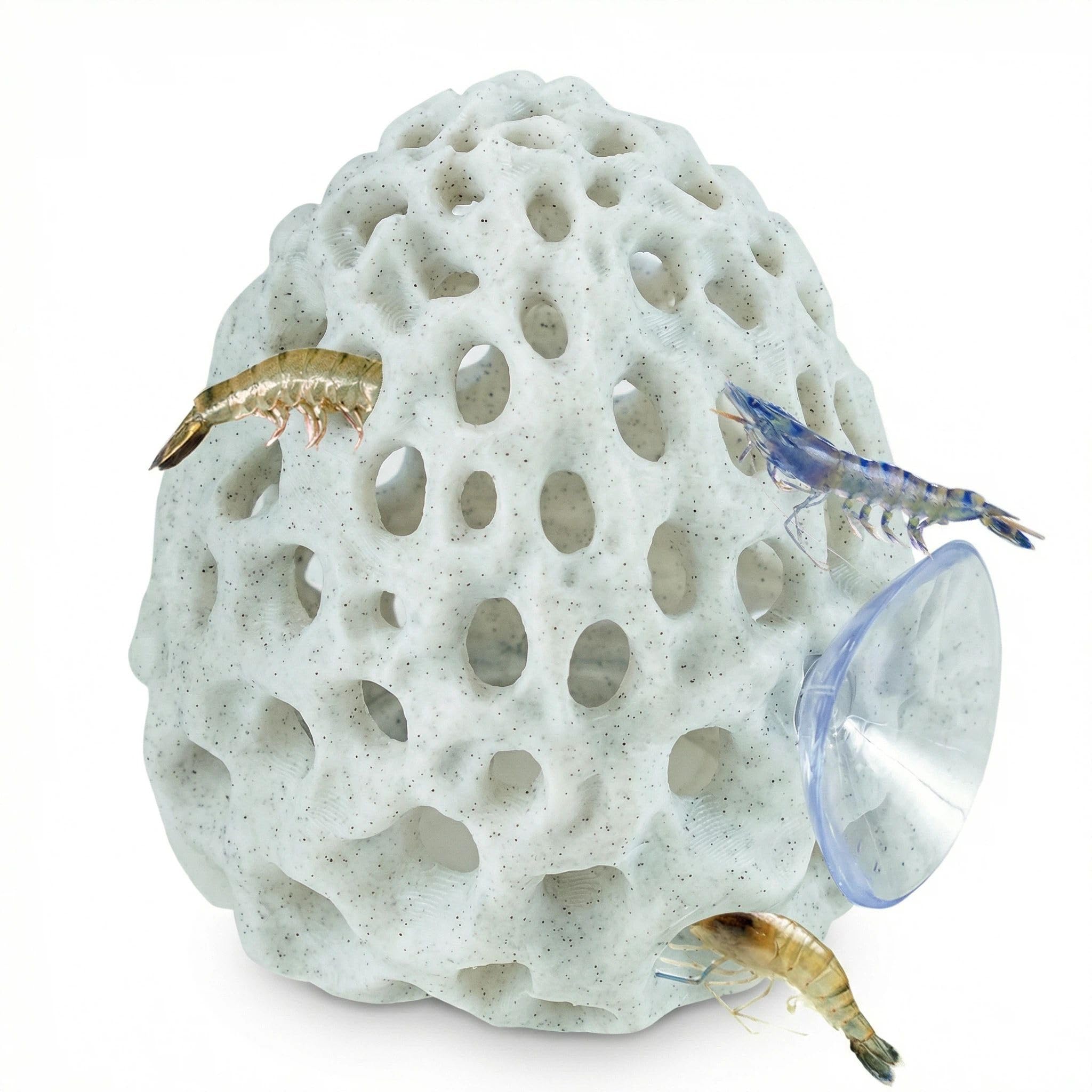 Shrimp Hide Aquarium Cave Decor for Small Fish Clear Dome Shelter for Fry Shrimp Cave Betta Fish Tank Accessories Shrimps Habitat Play Resting Hideout Nano Aquarium Fish Tank Cave Ornament (White)