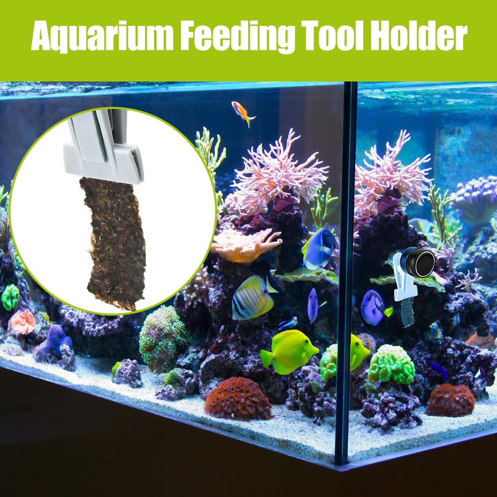 Pinces Magnétiques pour Nourrir Les Algues, Pince d'alimentation en Algues, Mangeoire Magnétique pour Aquarium, Distributeur Magnétique d'algues pour Aquarium d'eau Douce et d'eau de Mer