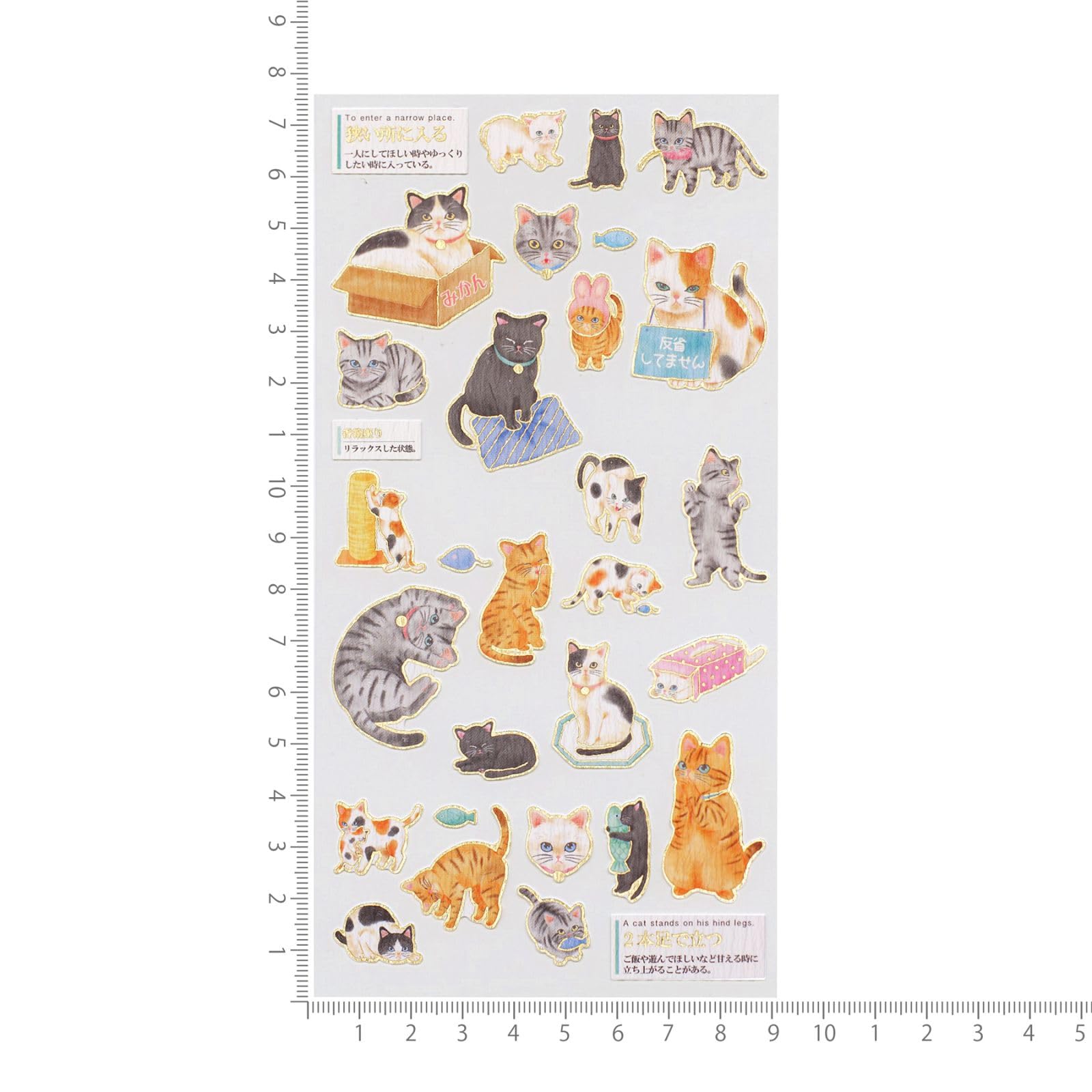 Amazon | カミオジャパン シール 大人の図鑑シール 猫の気持ち 700651