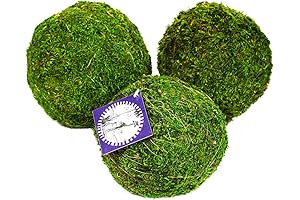 SuperMoss 25542 Moss Balls, Fresh Green, 6" (3 Pack) - Lush Greenery...
