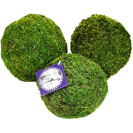 SuperMoss 25542 Moss Balls, Fresh Green, 6" (3 Pack) - Lush Greenery...