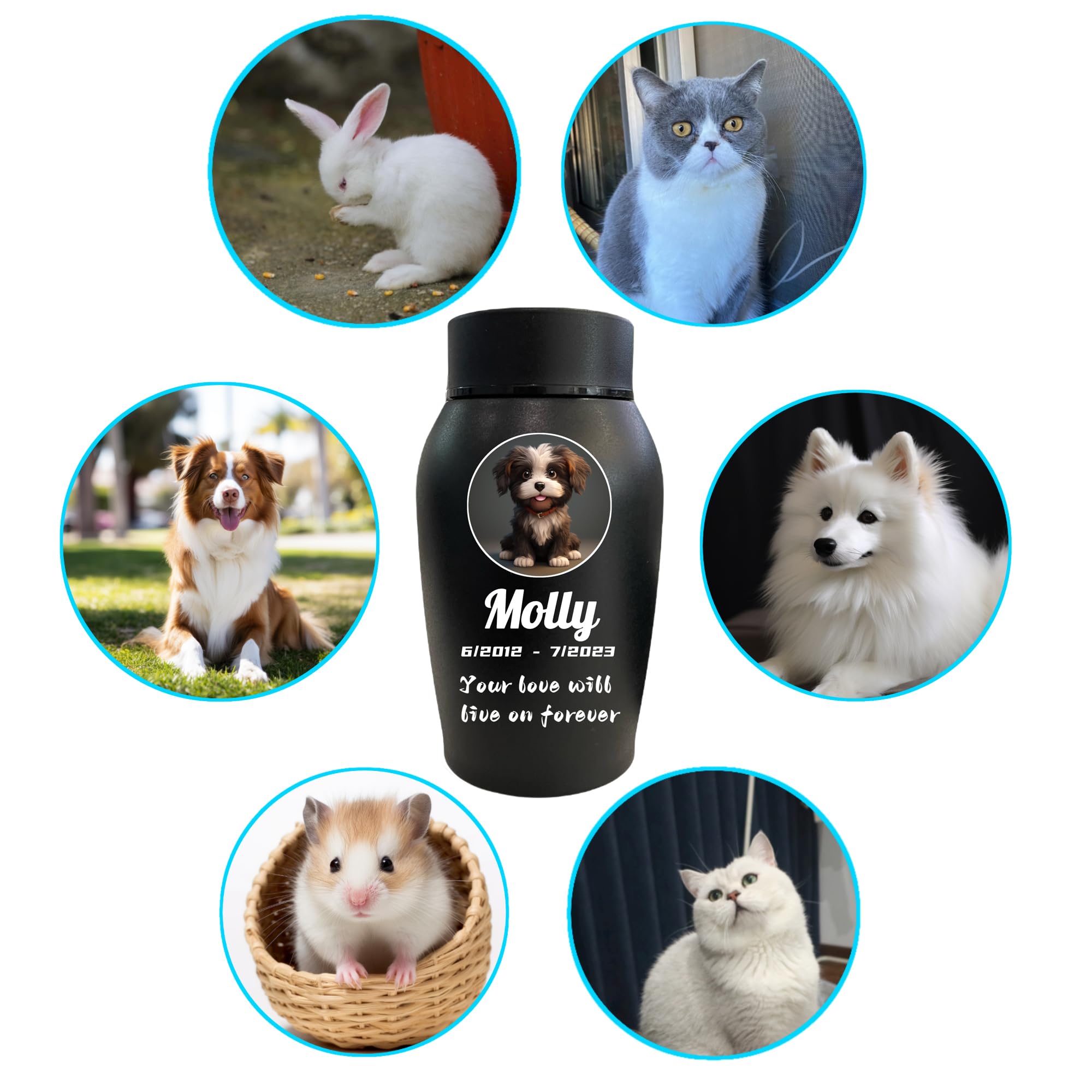 Niopfoin Personalized Pet Urns for Dogs and Cats Ashes, Custom Pet Name for Cremation Urns, Dog Memorial Keepsake Urns for Ashes (Oval)