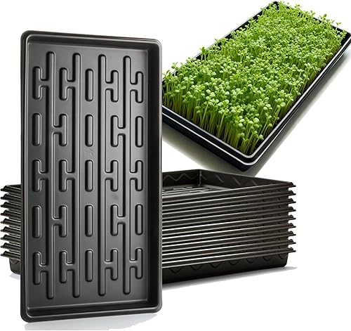 Shallow 1020 - Bandejas planas especializadas para sostener y transportar 200 bandejas de plántulas de enchufe celular (altura es de 1.3 pulgadas),