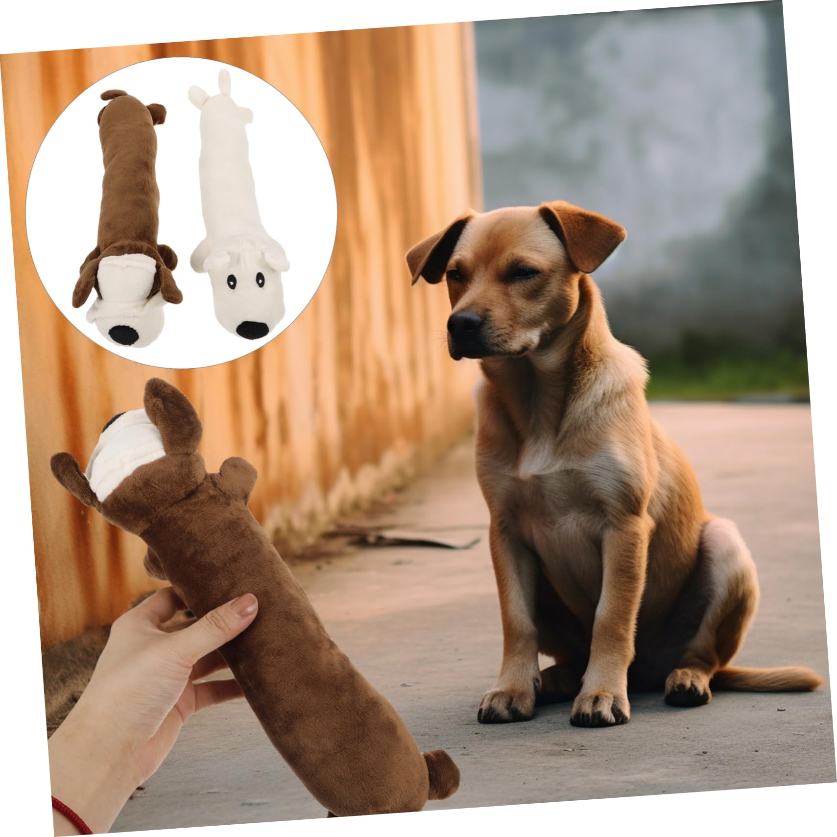 Amazon | LEDMOMO 2個犬きしむおもちゃ犬のおもちゃなし詰め