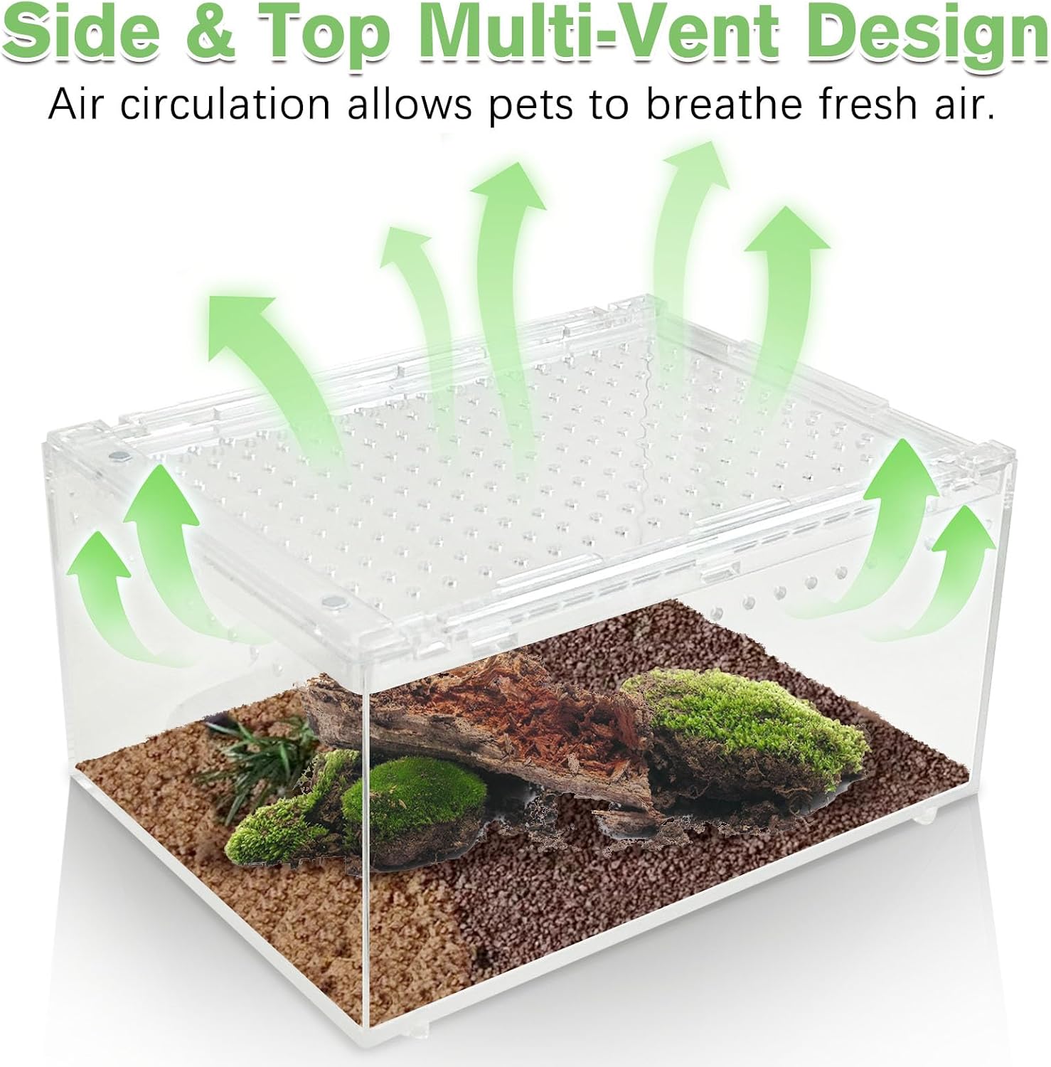 Reptile Terrarium Enclosure 8"x6"x4" Acrylic Tarantula Breeding Box Magnetic Hermit Crab Habitat Transparent Jumping Spider Cage for Insect Snail Amphibians Sling Isopods
