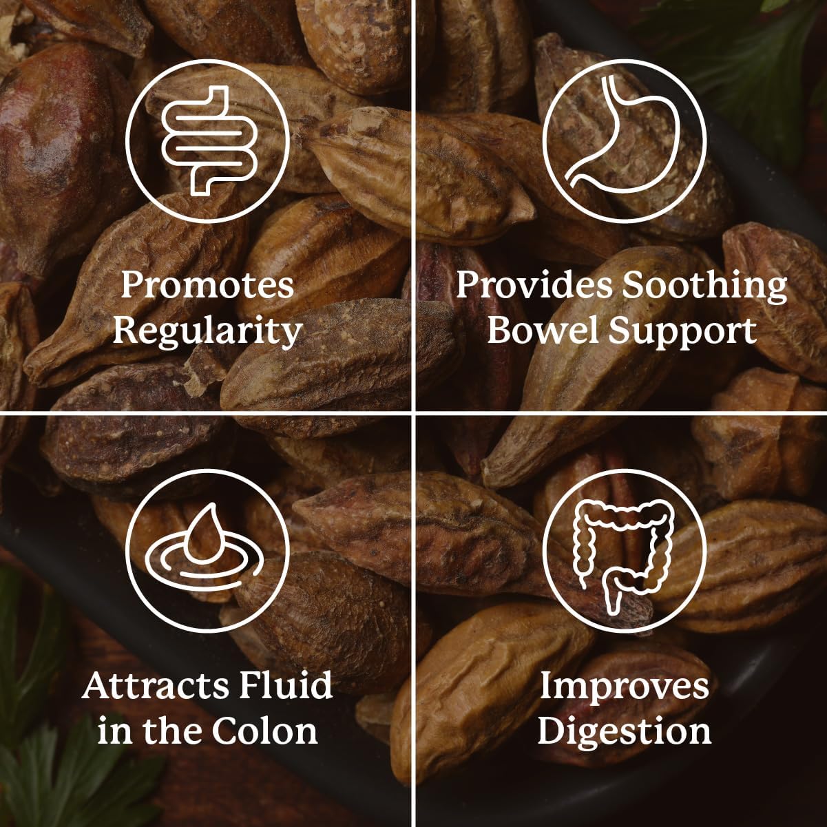 Nature's Sunshine Gentle Move: Experience Daily Digestive Support and Natural Constipation Relief with Natural Fiber for Soft Stools & Regularity, 90 Capsules (Pack of 2)