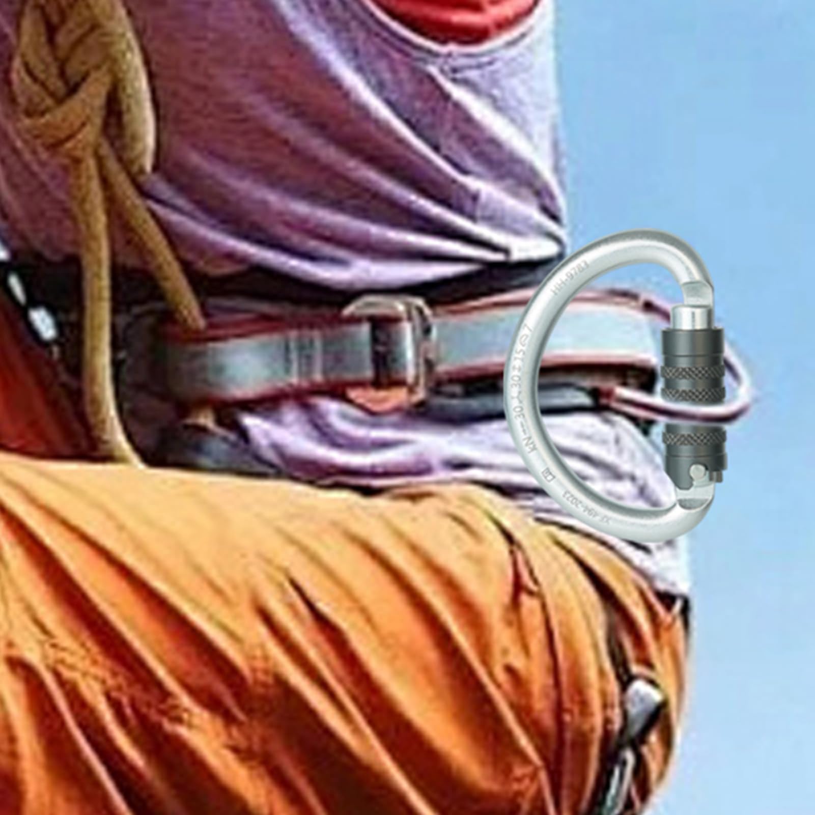 Schwerlastkarabiner D-förmiges Sportzubehör | Verschluss Karabiner Für Hängematten Für Hängematte Angeln Outdoor-Fitness Und Sicherung Von Haustieren