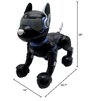 [ほぼ未使用]LEXIBOOK PowerPuppy DOG2匹 Amazon.com: LEXiBOOK Power Puppy - My Smart Robot Dog