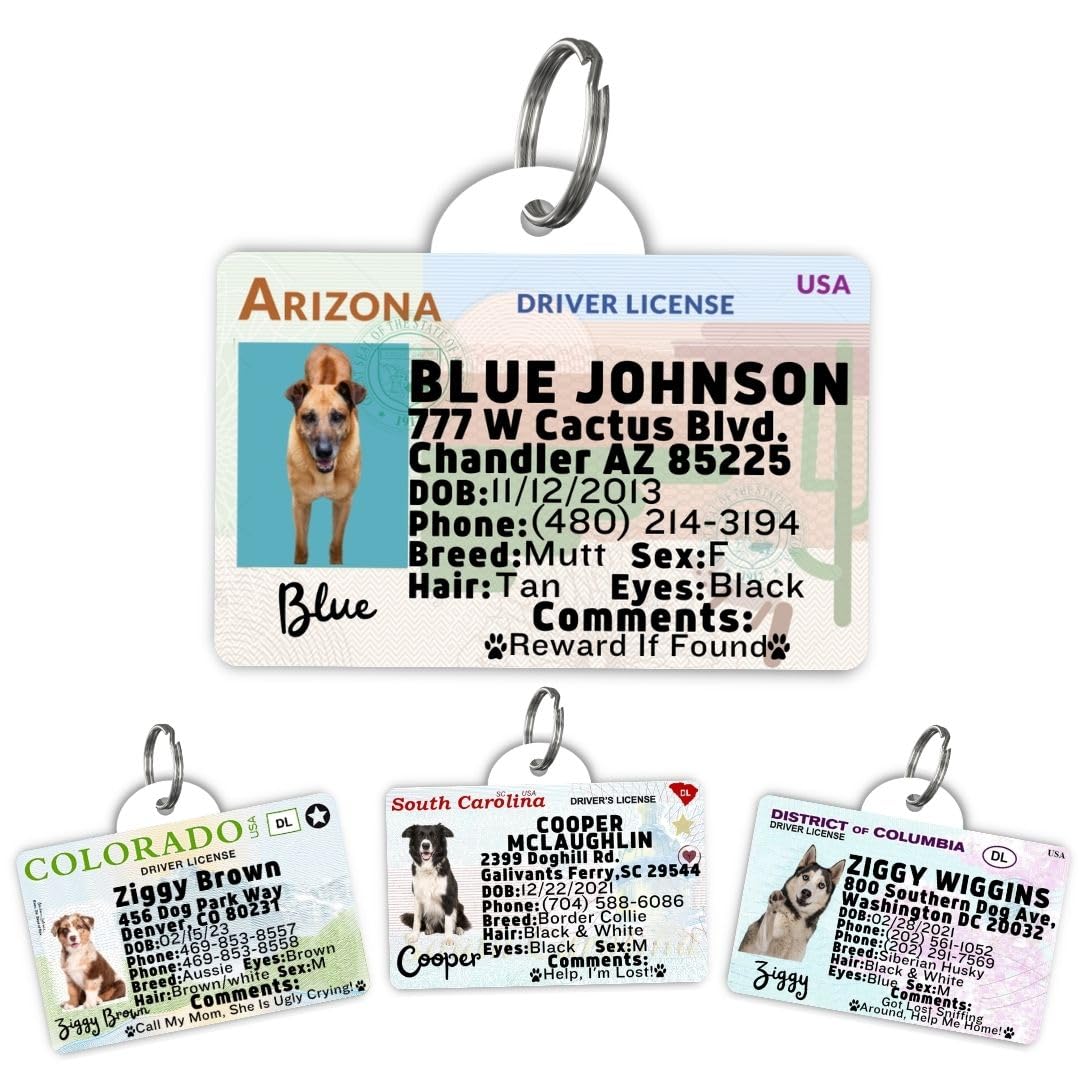 Driver License Custom Dog Tag for Pets and Wallet Card - Dog Tags for Dogs - Dog ID Tag - Personalized Dog ID Tags - Cat ID Tags - Pet ID Tags for Cats - Personalized Pet ID Tags (Arizona, Tag)