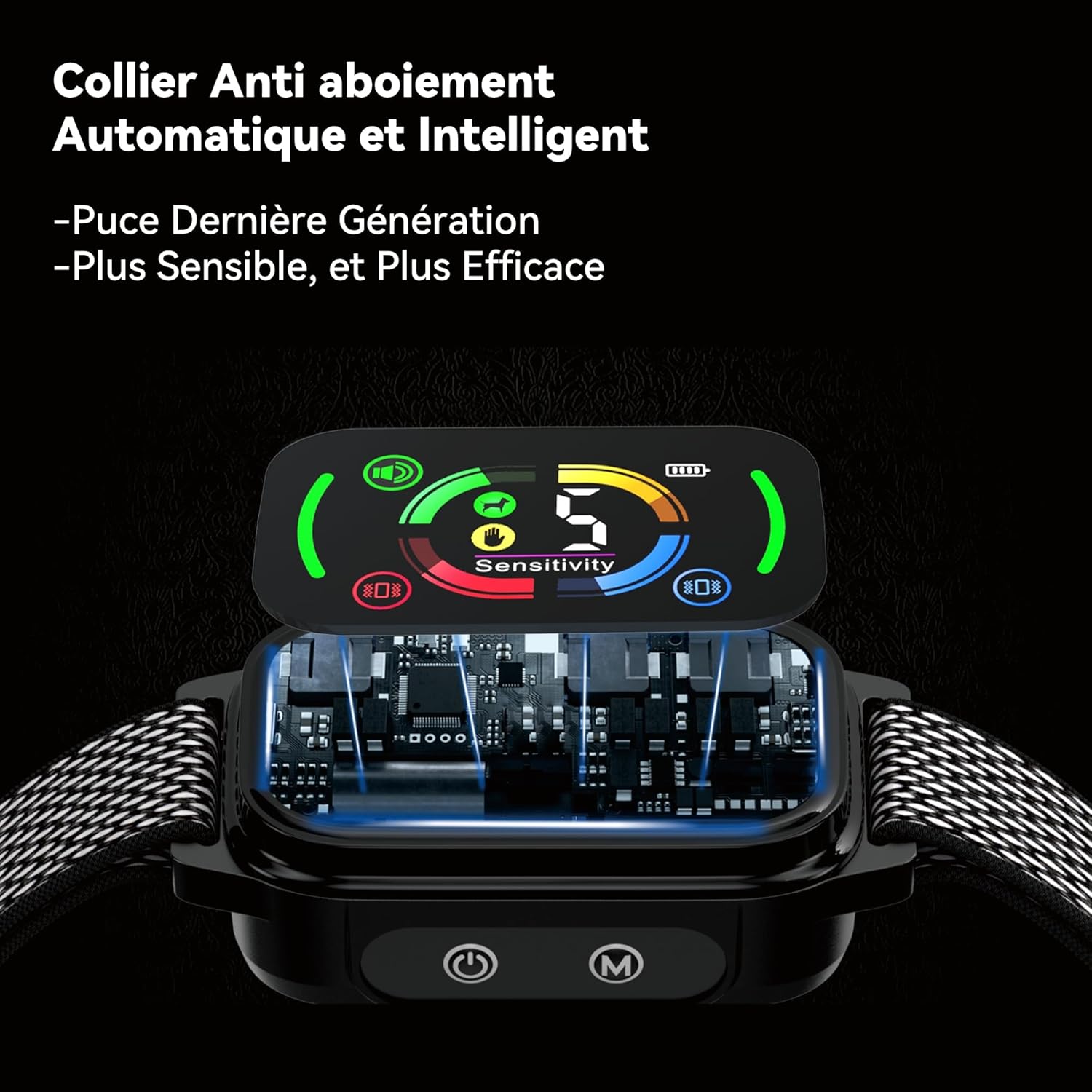 Collier équipé d’une sangle en nylon noir avec boucle ajustable