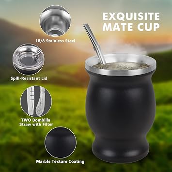 ROCKY&CHAO 9Oz Yerba Mate Gourd Set - Stainless Steel Modern Mate Cup, 2 Bombilla Straws, Cleaning Brush, BPA Free Lid, Double-Walled, Hot & Cold Drink, Coffee & Tea