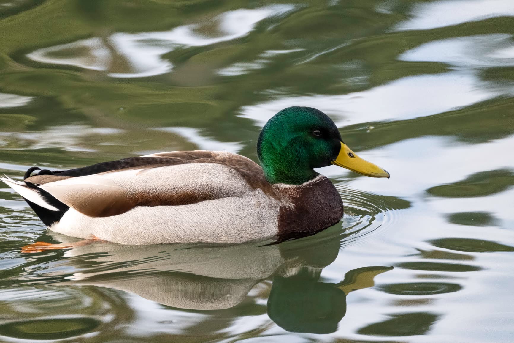 works for 95% of needs