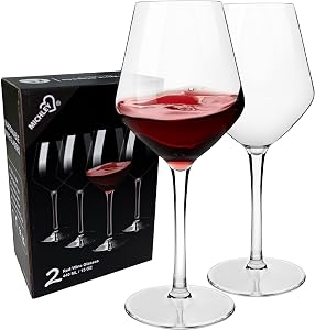 MICHLEY Floating Wine Glasses Pool, Unbreakable Stemmed Wine Glass 100% Tritan Plastic Dishwasher Available Glassware 15 oz, Set of 2