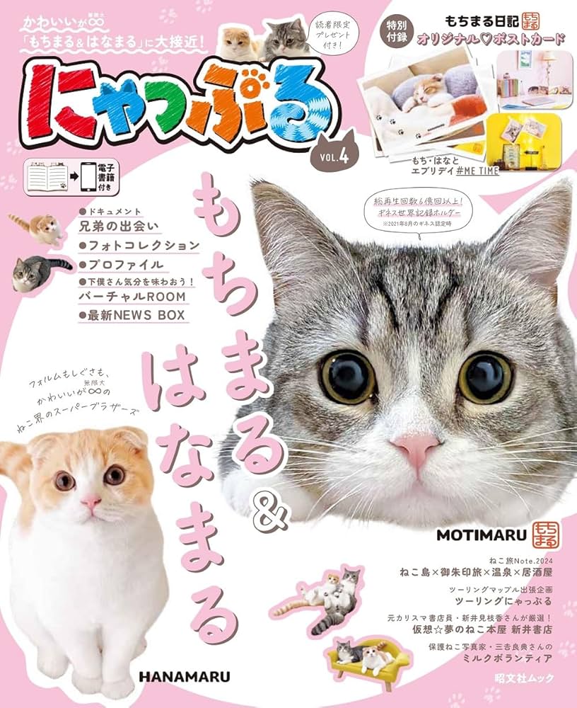 にゃっぷる vol.4 (昭文社ムック) | 昭文社 旅行ガイドブック