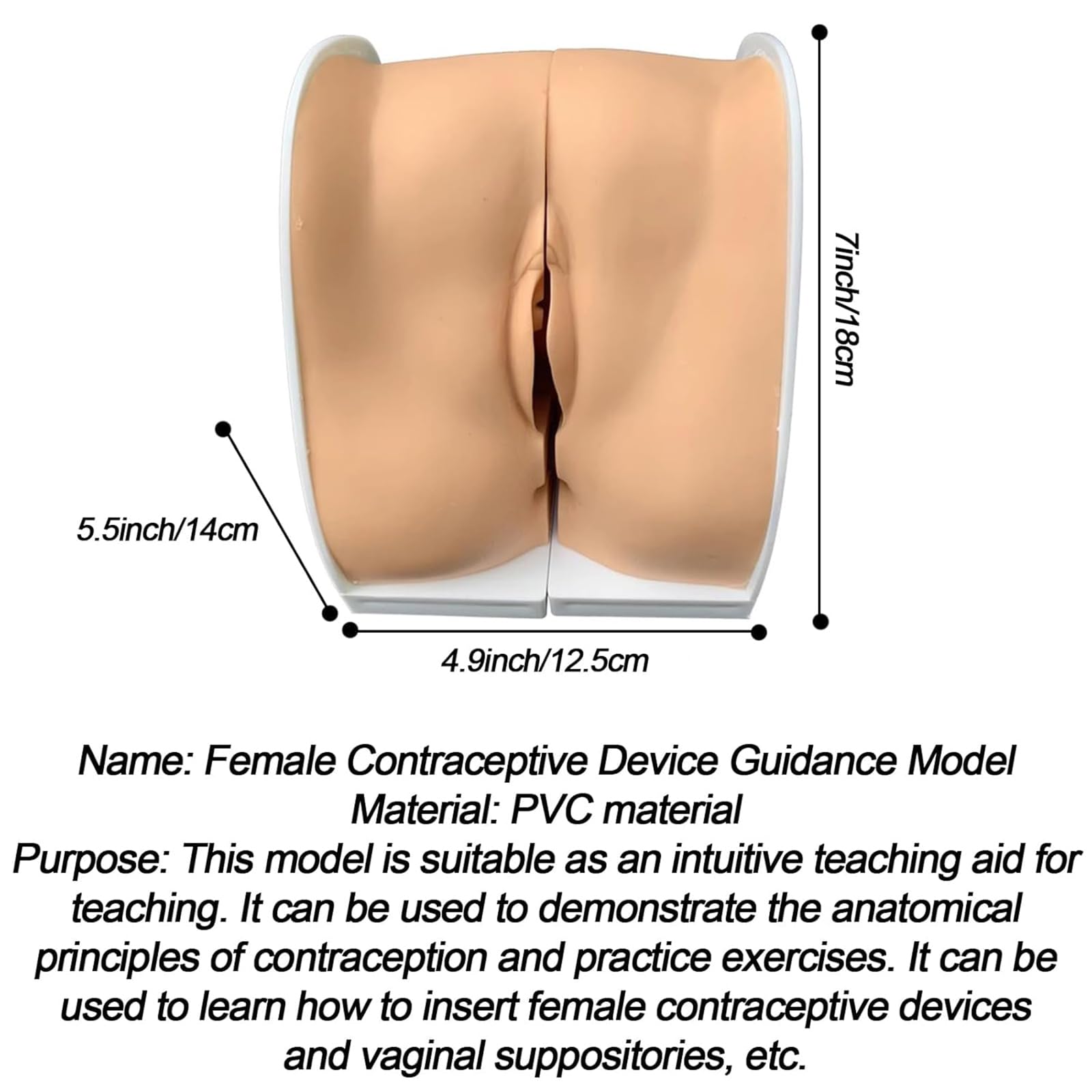 Manichino ginecologico Femminile, Modello anatomico dei genitali Femminili, Modello Guida alla contraccezione Femminile a grandezza Naturale per l'insegnamento