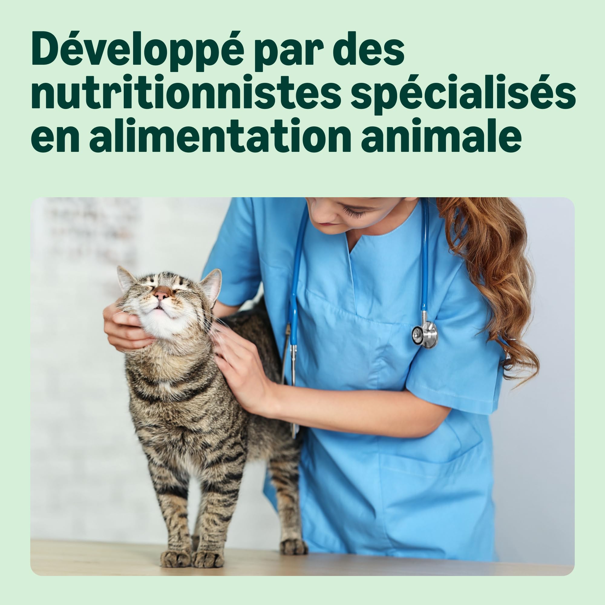 by Amazon Complete Croquettes complètes pour chats adultes, au Saumon & riz, 1 x 10 kg (Anciennement une marque Lifelong, même produit)