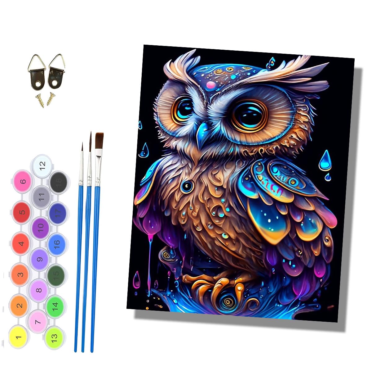 HONGPZH Paint by Numbers for Adults and Beginner Painting by Number Kits On Canvas Without Frame Painting Acrylic Paints Home Wall Decor 40x50cm/16x20in Colorful Owls