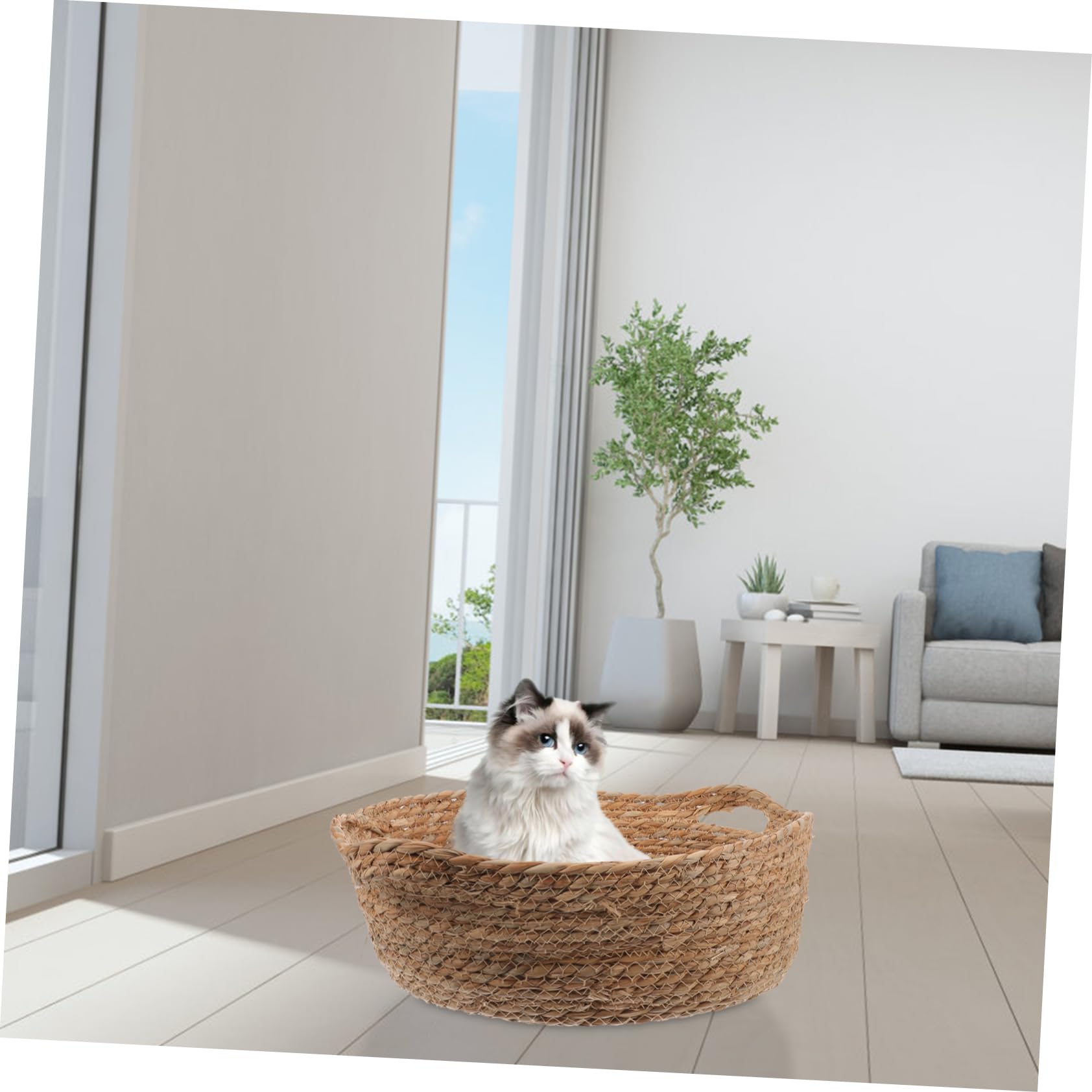 Sosoport Cama para De Tejida para Gatos Transpirable Diseño para Interior y Exterior Accesorio para Dormir y