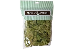 Premium Decorative Moss for Crafts and Home Décor: Quality Growers Reindeer Moss