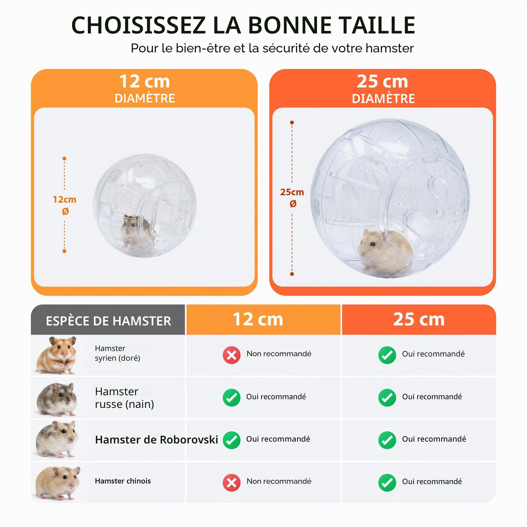 ICA GD10025 Boule d'exercice pour rongeurs 25 cm Couleurs Assortis