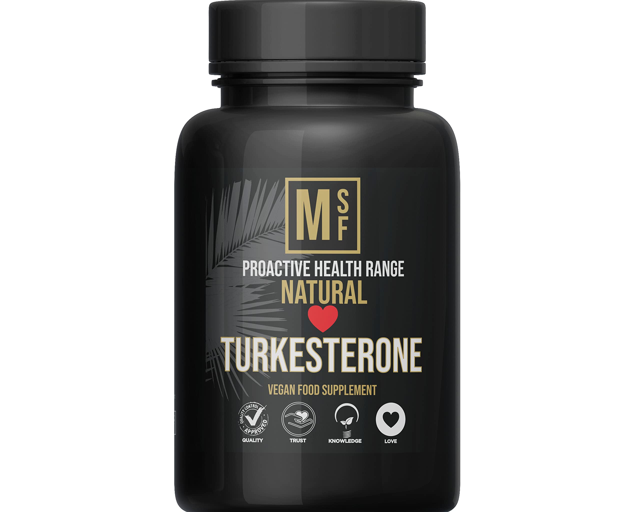 Turkesterone with Piperine for Max Absorption | (1000mg) Serving | 60 High Potency Capsules | Vegan | No Binders No Fillers | Non-GMO | All Natural Ingredients | Male Booster | Natural Test | No Soy