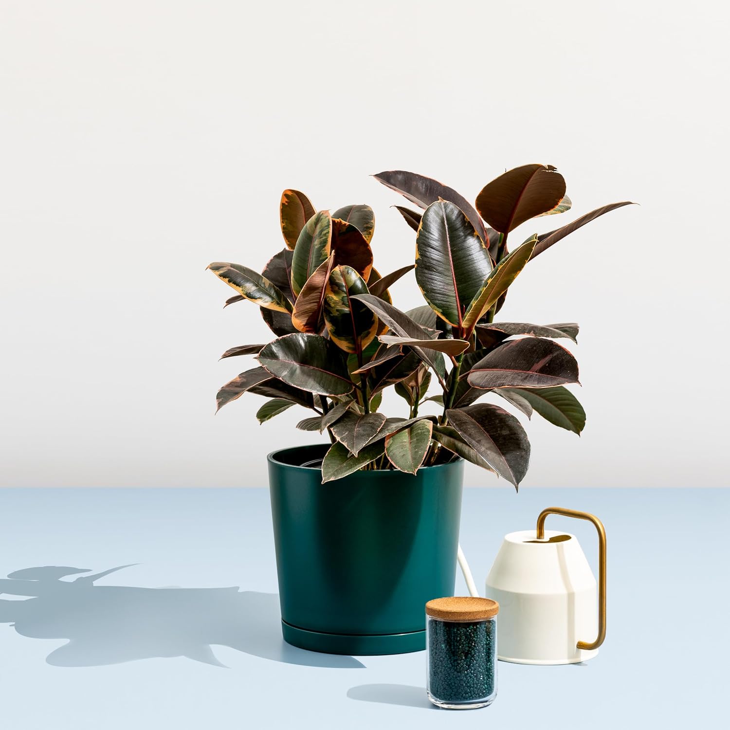 Plastic Pots for Plants - 100% Recycled Materials Maritime Plastic Plant Pots for Indoor Outdoor Planters - Durable, UV & Frost Resistant Planting Pot, Nursery, Flower Pot, Large