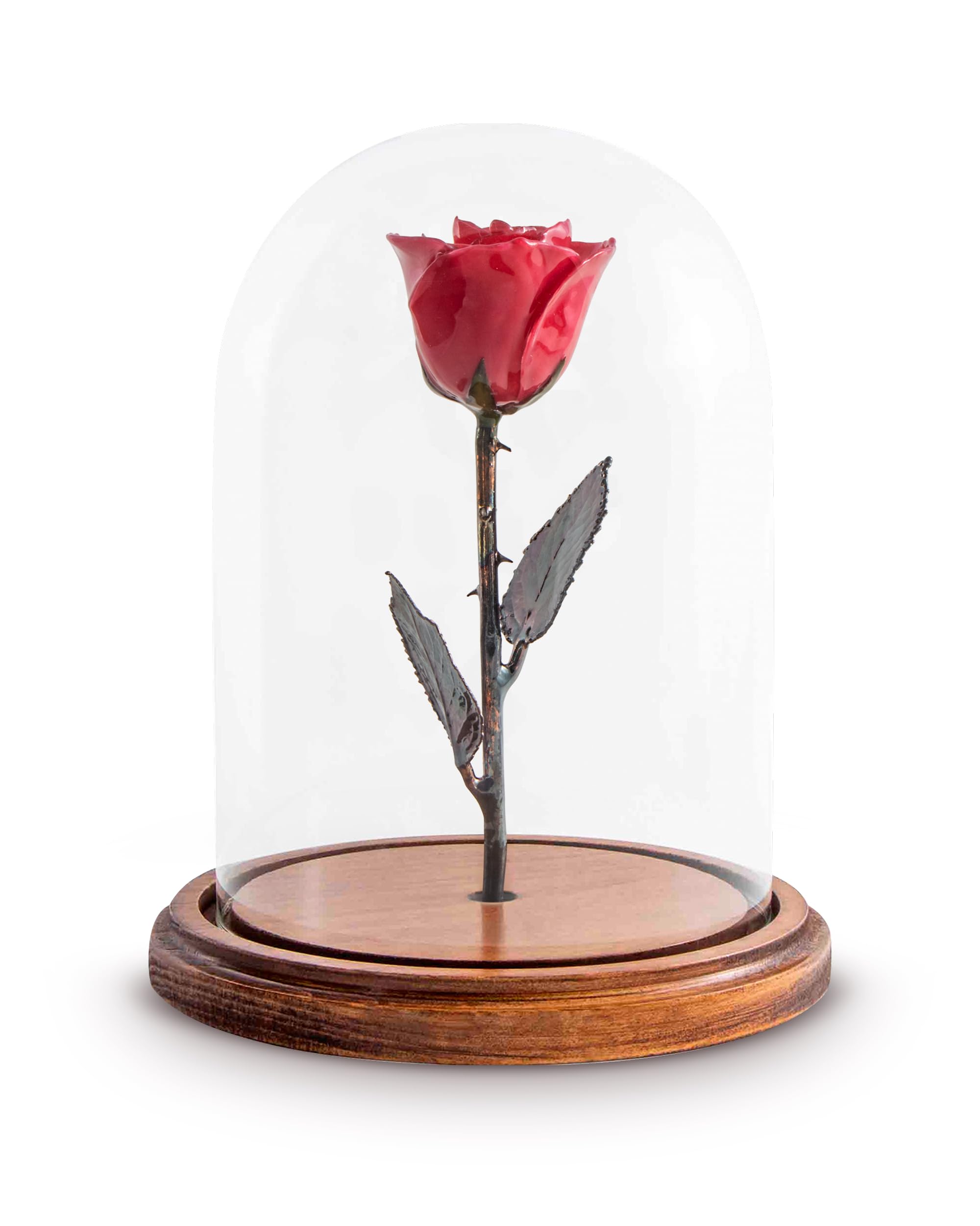 Amazon.com: Forever Rose Enchanted Rose in Glass Dome, Real Red