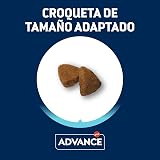 Ver la foto 7