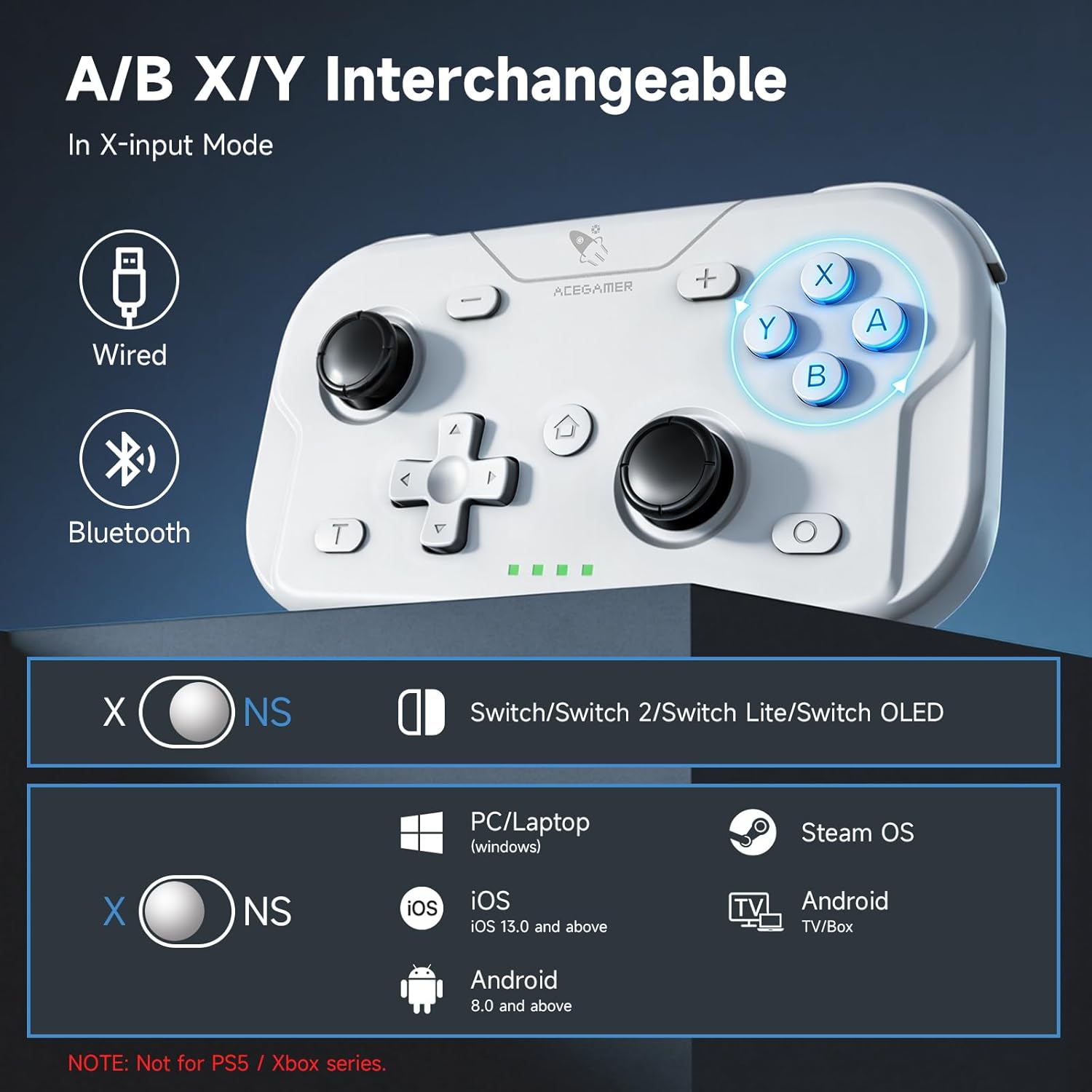 AceGamer controller demonstrating 6-axis gyroscope functionality in a racing game scenario.