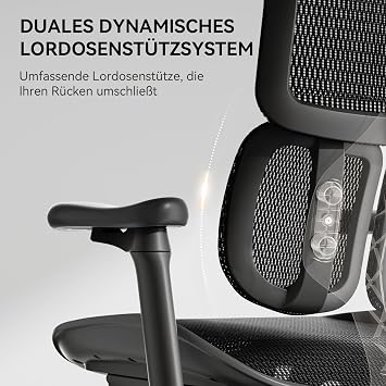 SIHOO Office Chair Ergonomic-With Dual Dynamic Lumbar Support Desk Chair with 5-way Adjustable Backrest Office Chair with 4 D Coordinated Armrests (S100 Black)