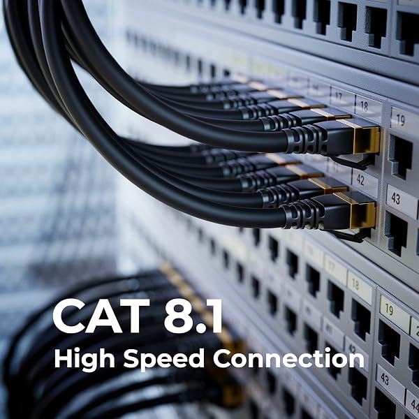 deleyCON 1m Cavo LAN CAT8.1 Patch Rete - Cavo RJ45 LAN DSL Rame Schermatura S/FTP 2000 MHz 40 Gbit - CAT.8 Ethernet Connettore RJ45 Placcato Oro - Nero - 5