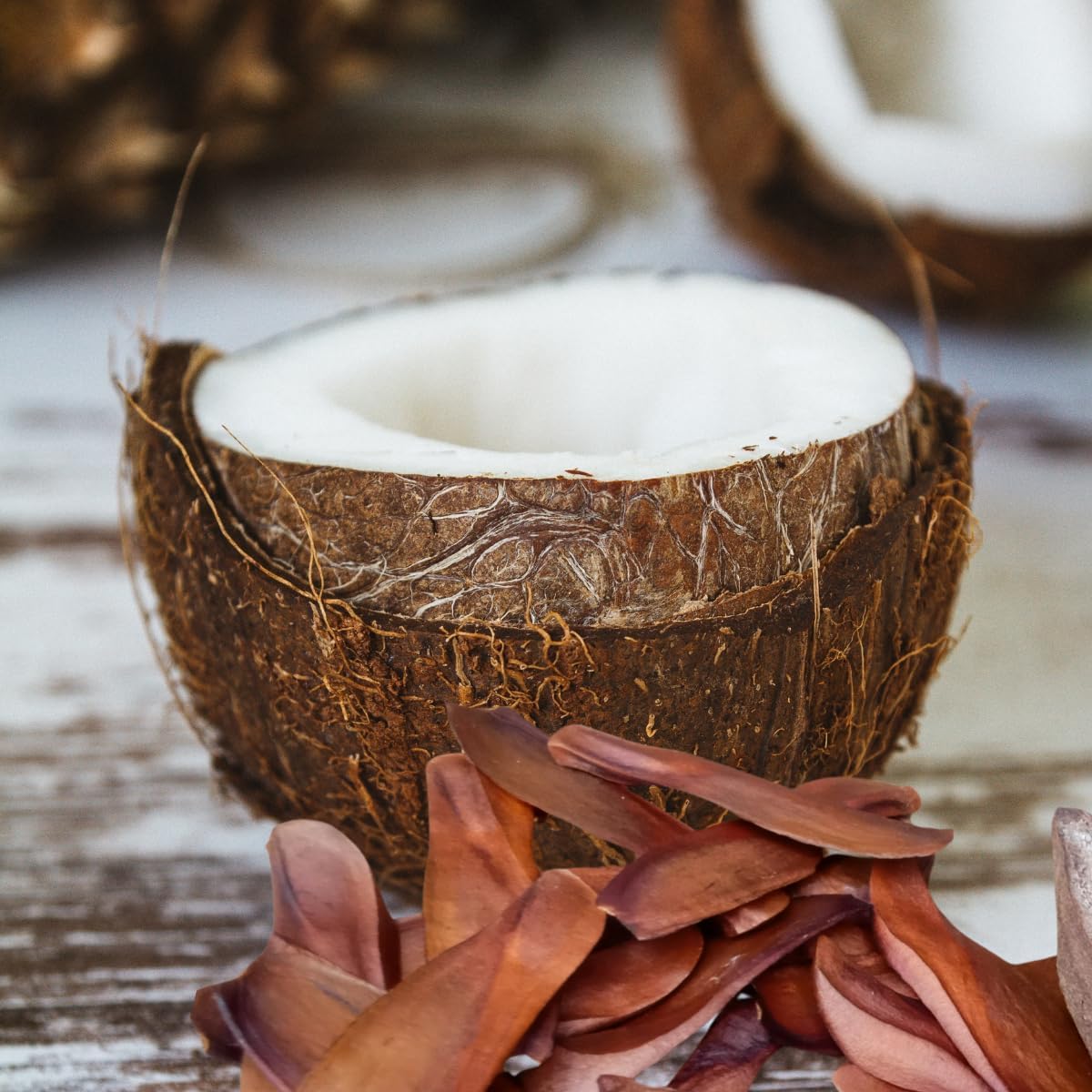 Mahogany Coconut Fragrance Oil (Our Version of The Brand Name) (8 oz Bottle) for Candle Making, Soap Making, Tart Making, Room Sprays, Lotions, Car Fresheners, Slime, Bath Bombs