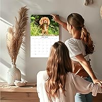 Vista 586 de Razas de Perros 2017