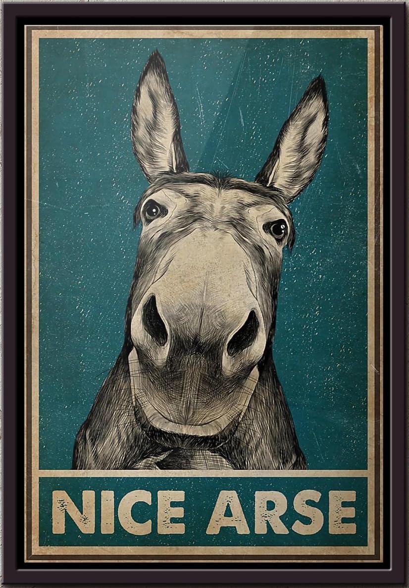 Yaasimoule Color Donkey Nice Arse Poster Framed Matte Canvas
