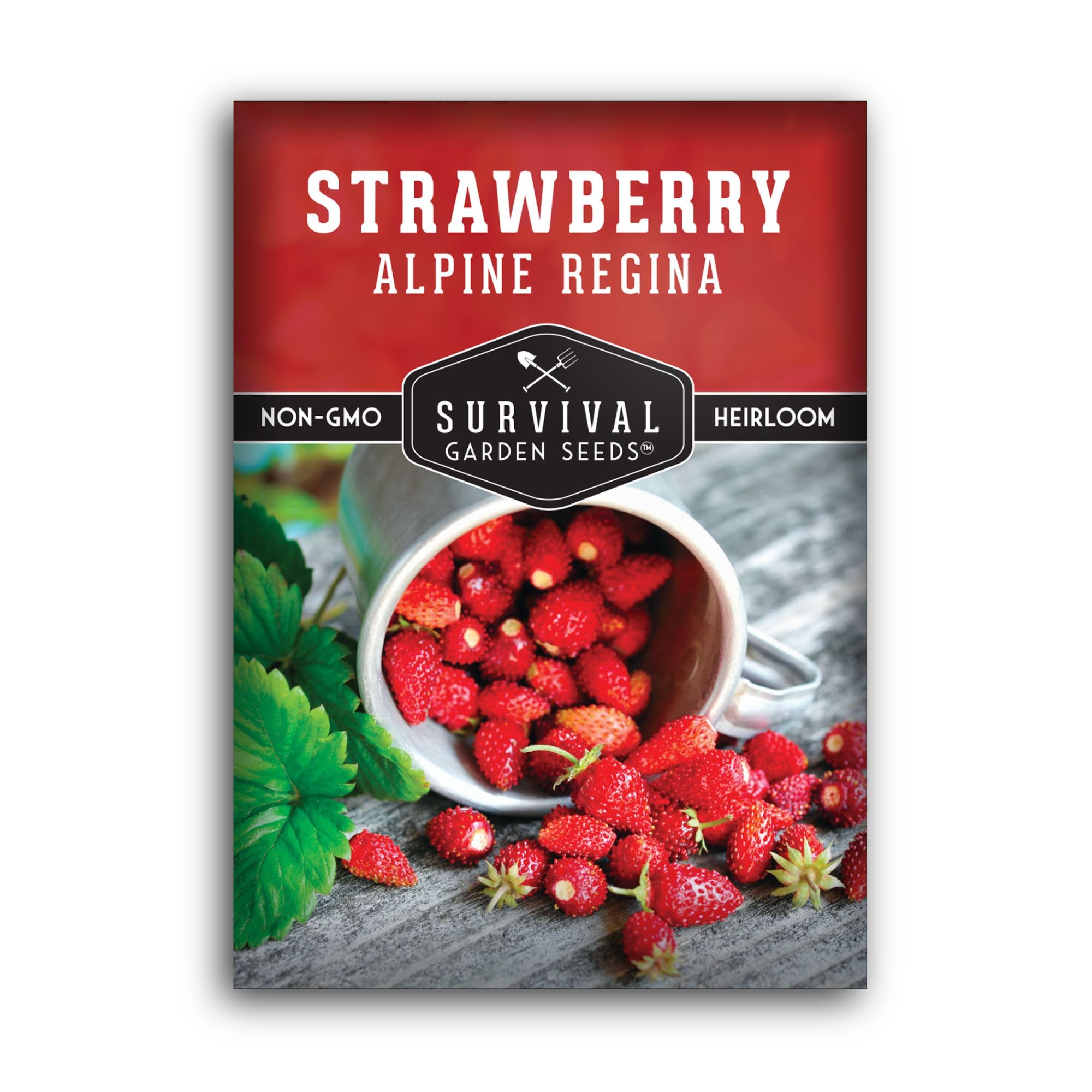 Amazon.com : Strawberry Seeds for Planting - Alpine Regina