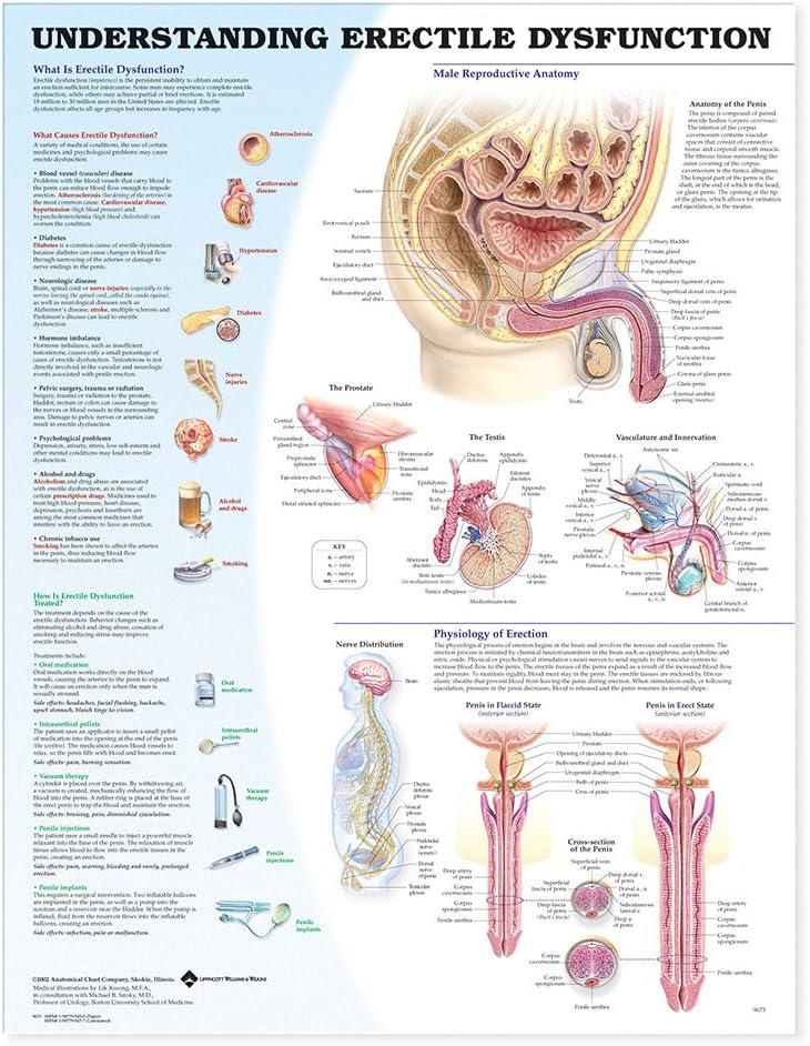 Understanding Erectile Dysfunction Chart