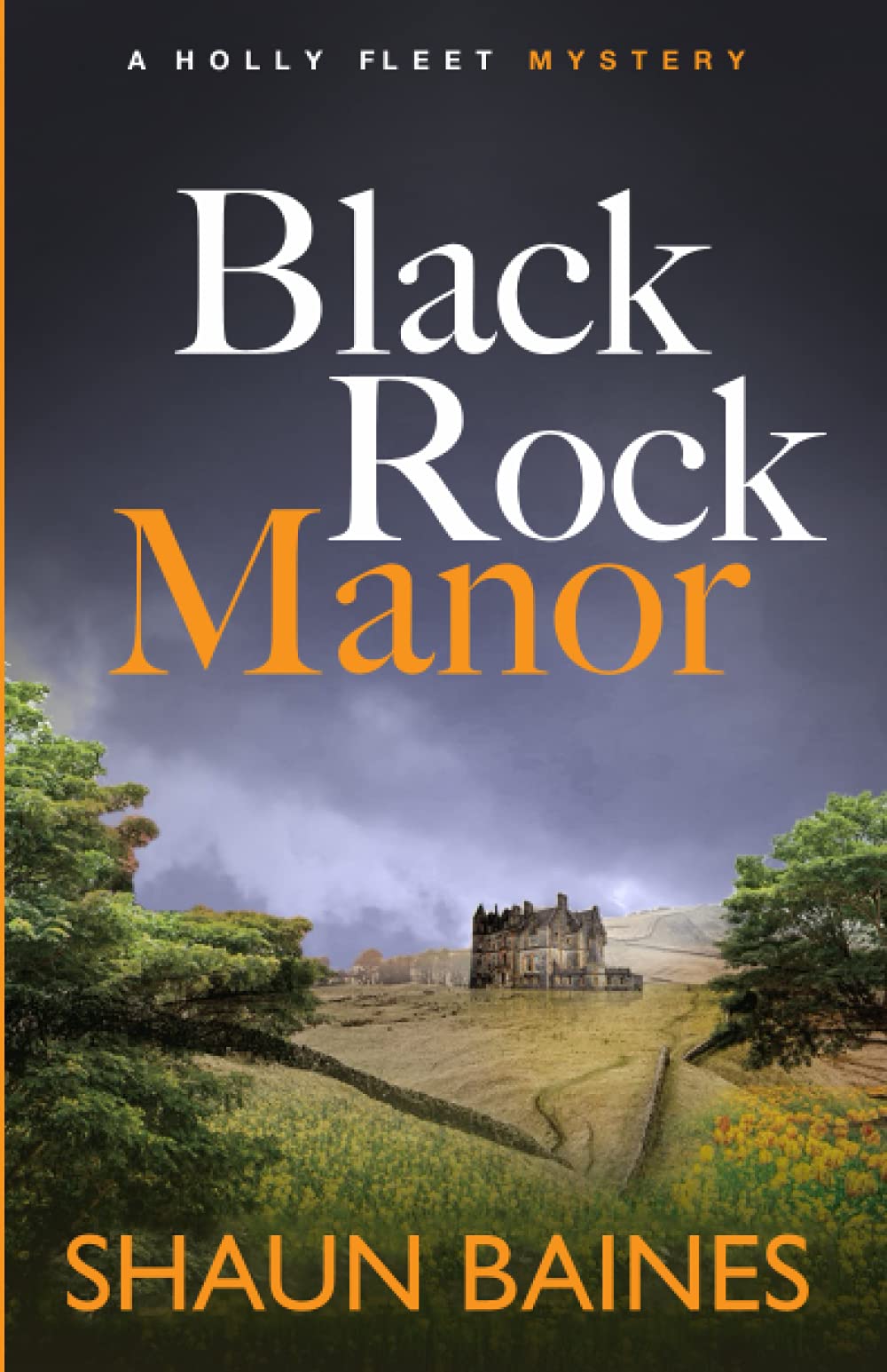 Black Rock Manor: A Holly Fleet Mystery: 1 (An Amateur Sleuth Crime Series)