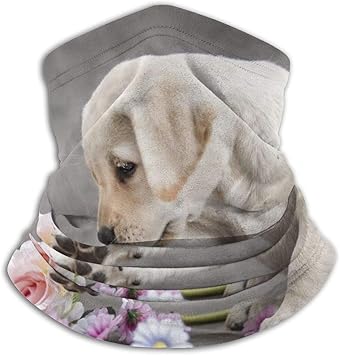 Amazon かわいいラブラドールレトリバーと花 暖かいネックスカーフ 柔らかい ネックウォーマー ユニセックス 通気 釣り自転車 防風 防寒用 屋外用 キャラスさん屋 スポーツ アウトドア
