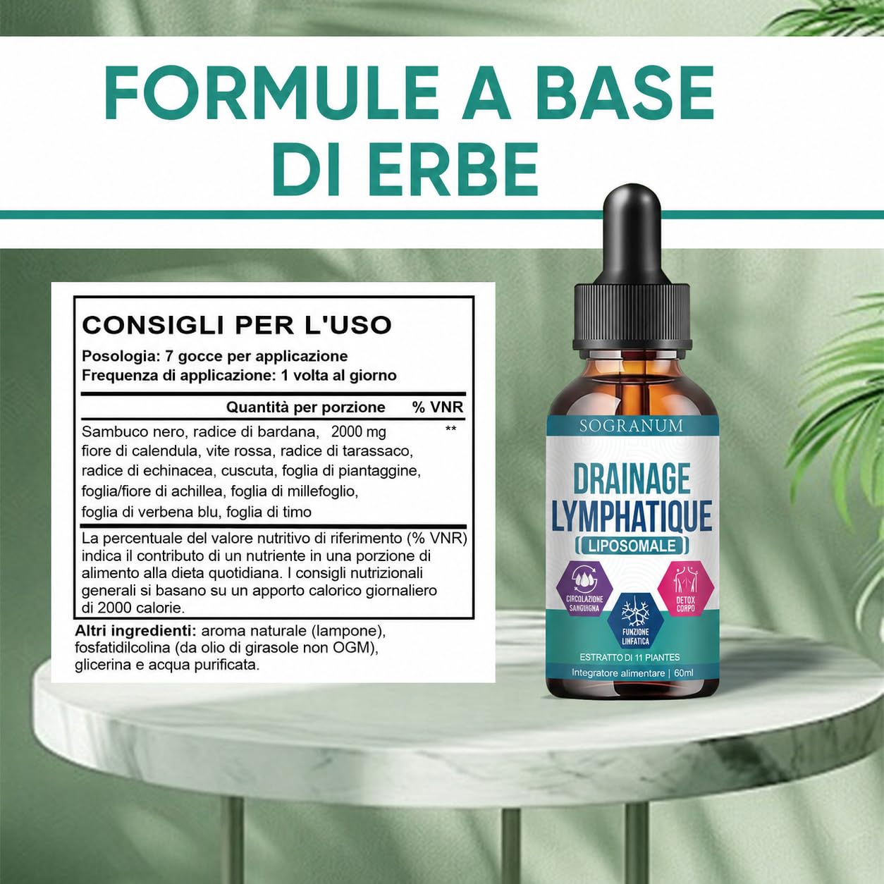 Drenaggio linfatico liposomiale | Circolazione sanguigna, flebite, pressione sanguigna | Detox con echinacea | Assorbimento del 98% da parte dell'organismo | 60 ml