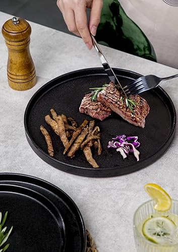 Miniatura 6 de Nucookery Juego de 6 platos llanos de cerámica, platos de ensalada de 10 pulgadas, platos redondos de postre, platos grandes para cocina,