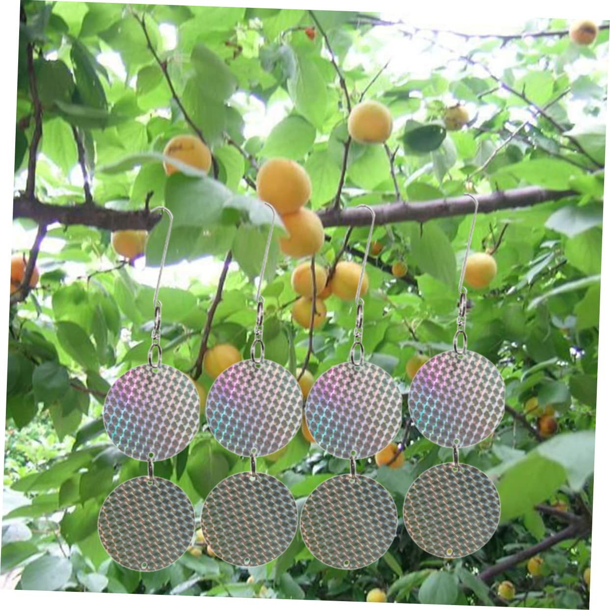 BESPORTBLE Pz flakelet per spaventare Gli Uccelli riflessante spaventapasseri Scarecrow Wafer Spaventoso Ostia scacciare Gli Uccelli Piccolo Pezzo