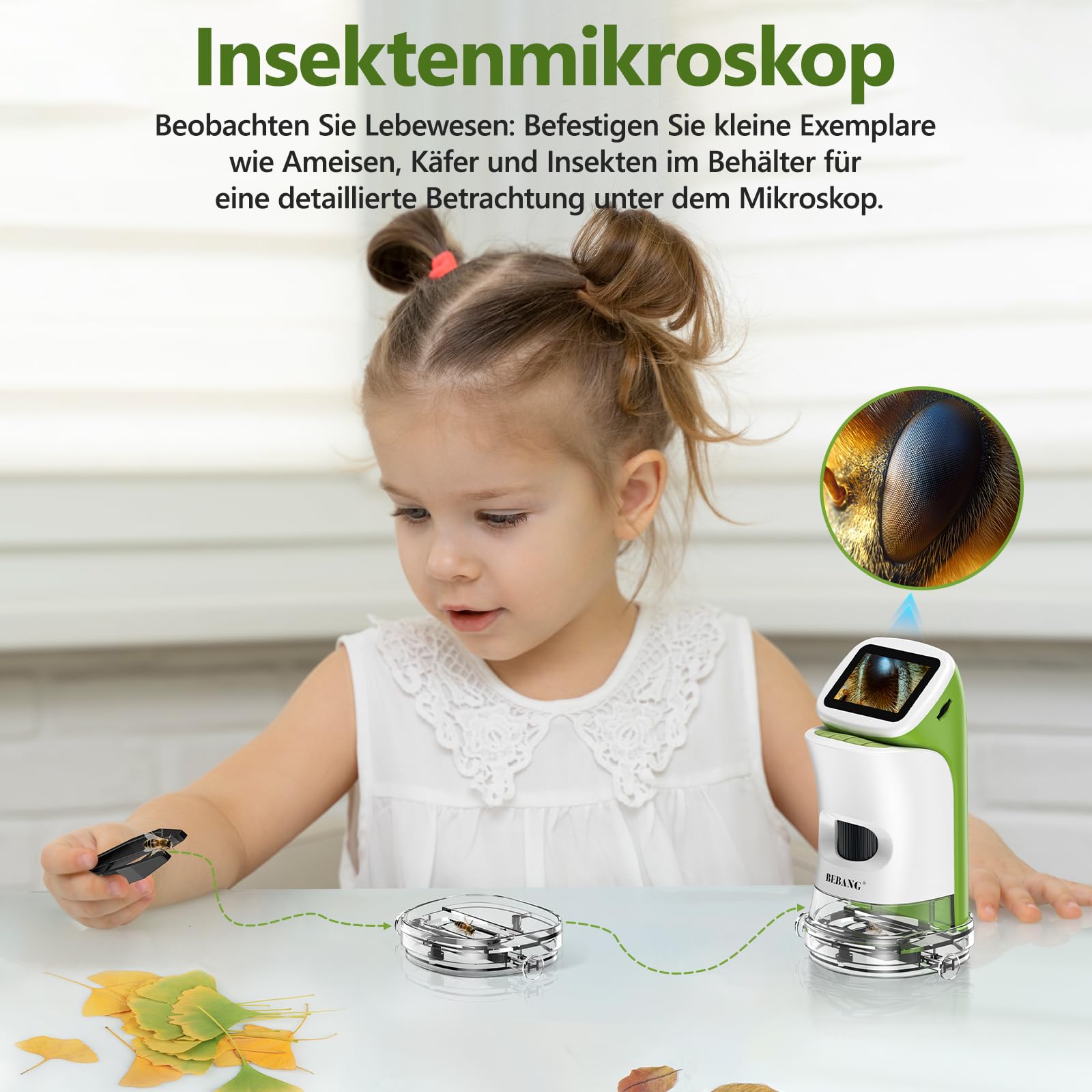 Kinder-Handmikroskop Mini 1000X Digitales Taschenmikroskop 2 Zoll 4K Bildschirm STEM Spielzeug Geschenk Kinder 6-12 Jahre inkl. Dias-Set 32GB Speicherkarte