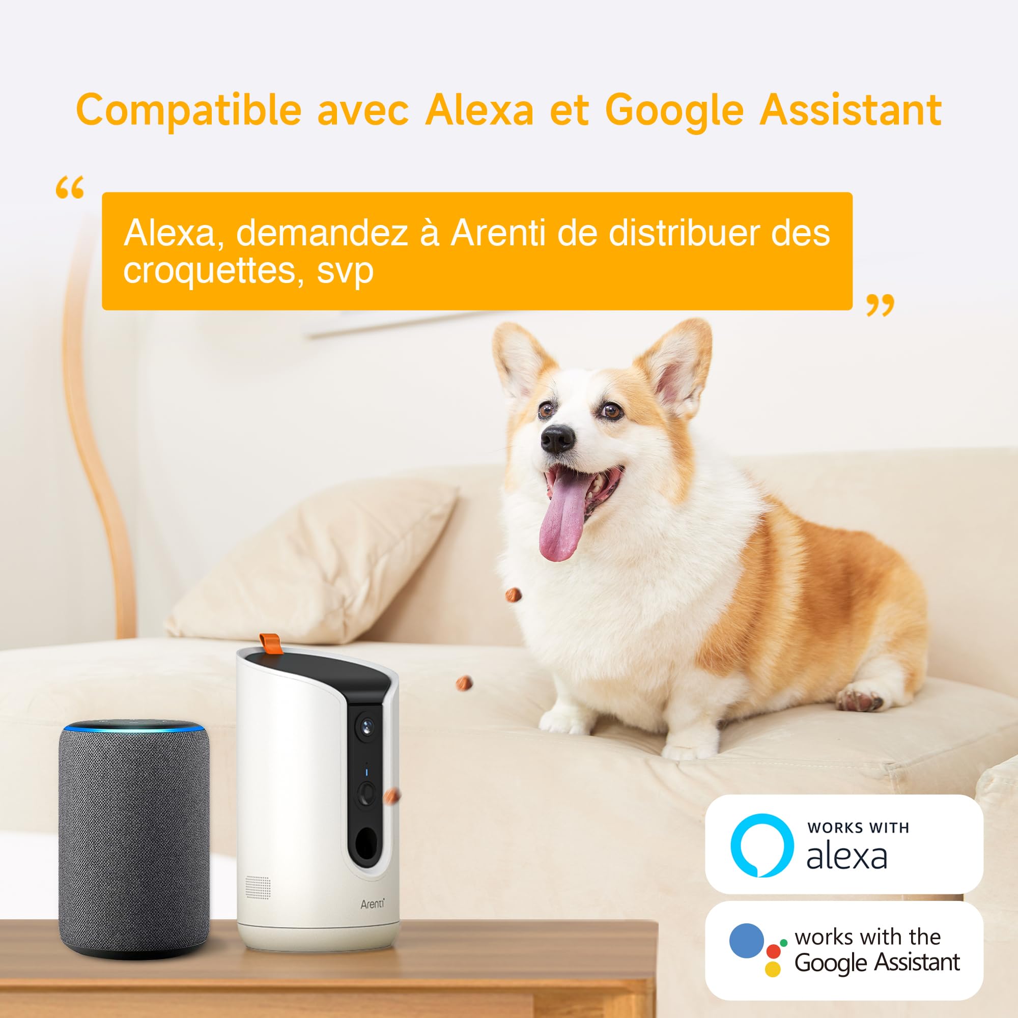 ARENTI Distributeur Automatique de Croquettes pour Chat avec Caméra WiFi, Caméra de Surveillance avec Distributeur, Alertes Intelligentes/Vision Nocturne, Audio Bidirectionnel, Alexa