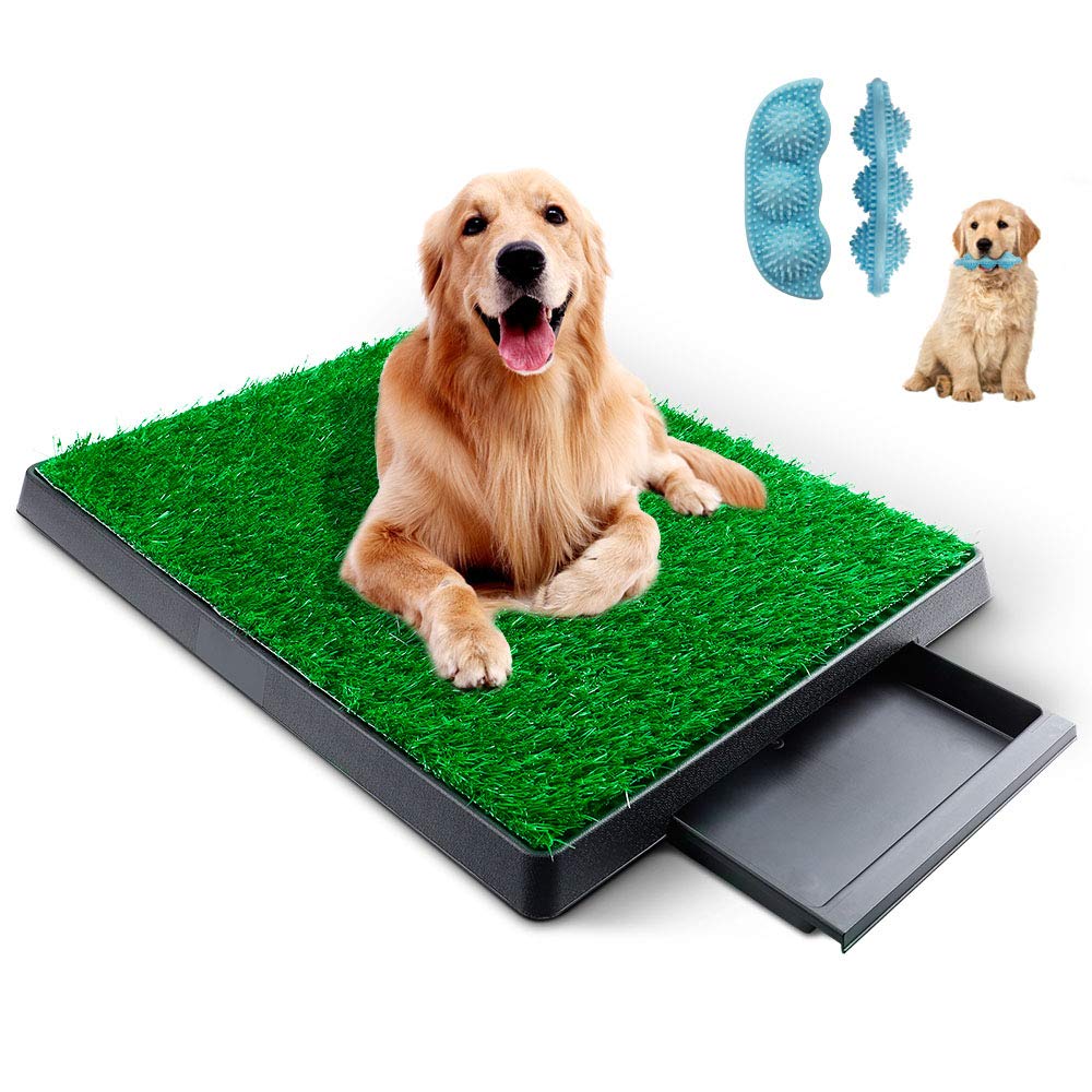 Buy KZNANZN Dog Grass Pad with Tray,Artificial Grass Turf Professional