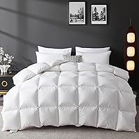 LOVSOUL Queen Down Comforter 850+ Fill Power, 1200TC Ultra Soft All Season Duvet Insert, Hotel Luxury with 8 Corner Tabs