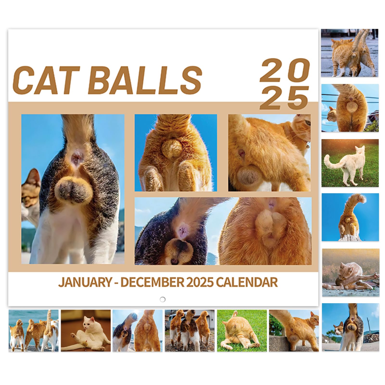 amazon-com-2025-calendar-2025-wall-calendar-jan-2025-dec-2025-16-9-x-11-open-wall-calendar-2025-with-unruled-blocks-perfect-thick-paper-cutie-cat-office-products