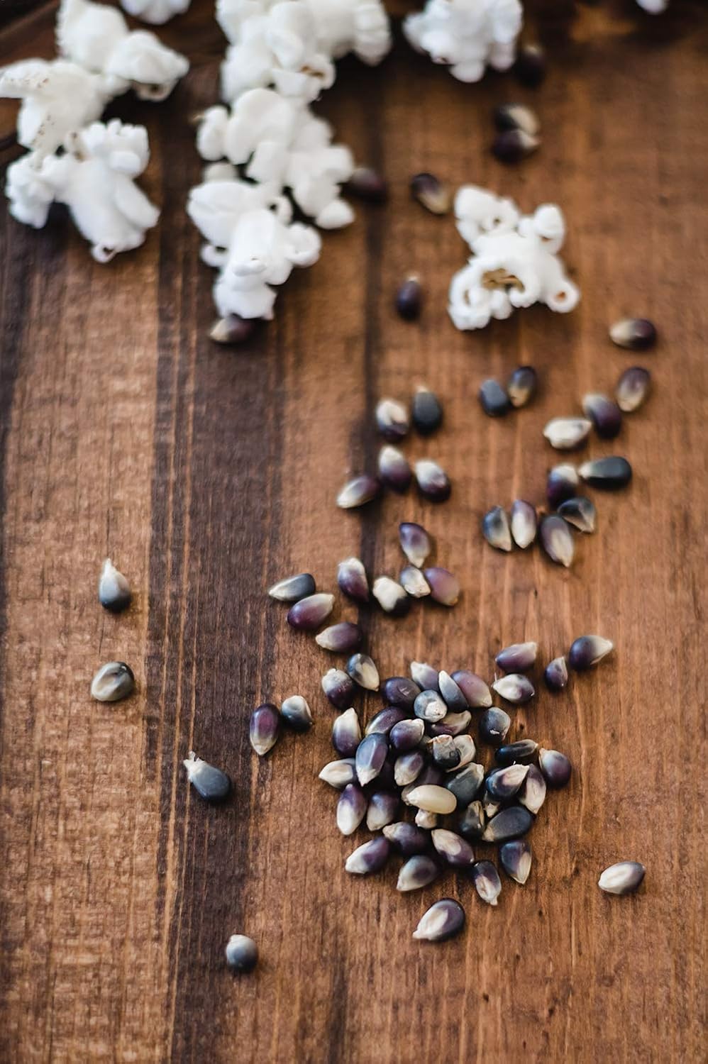 Amish Country Popcorn | 25 lb Bag | Midnight Blue Popcorn Kernels | Old Fashioned, Non-GMO and Gluten Free (Midnight Blue - 25 lb Bag)