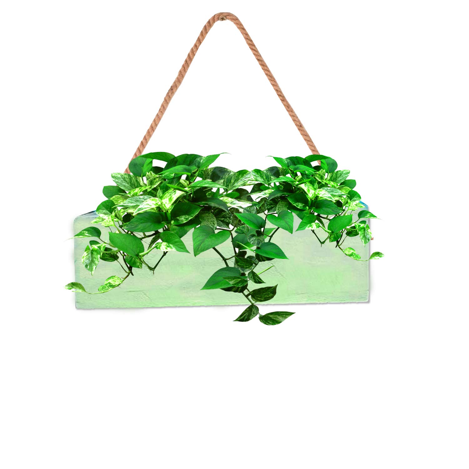 LIVEONCE Wood Box Planter Hanging -Color-Green, 1 Piece (B08HQCFWYK) Amazon Price History, Amazon Price Tracker