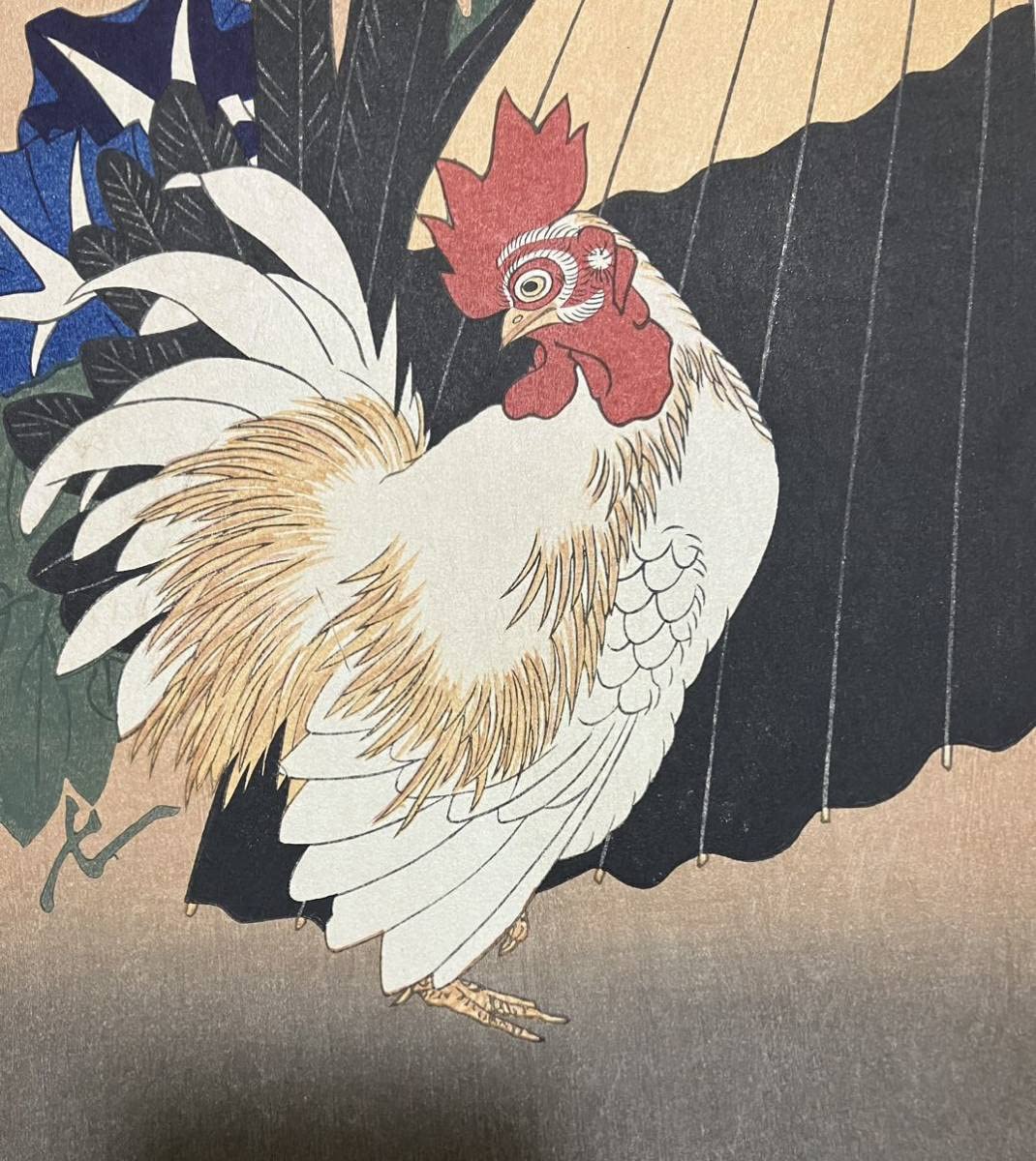 広重花鳥風月 『大短冊判二十選集』 朝顔に鶏 Amazon.co.jp: 復刻版 歌川広重「朝顔に鶏」大江戸版 花鳥画 浮世絵 木